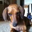 Lost 1 Riley (TX)