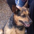 Lost 1 BIBI (CA)