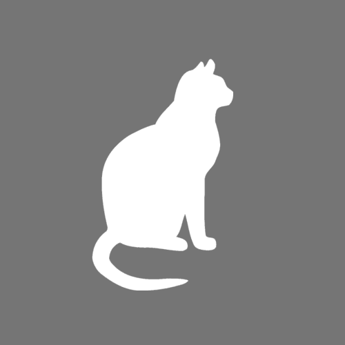 Lost Cat Lucius (no collar)