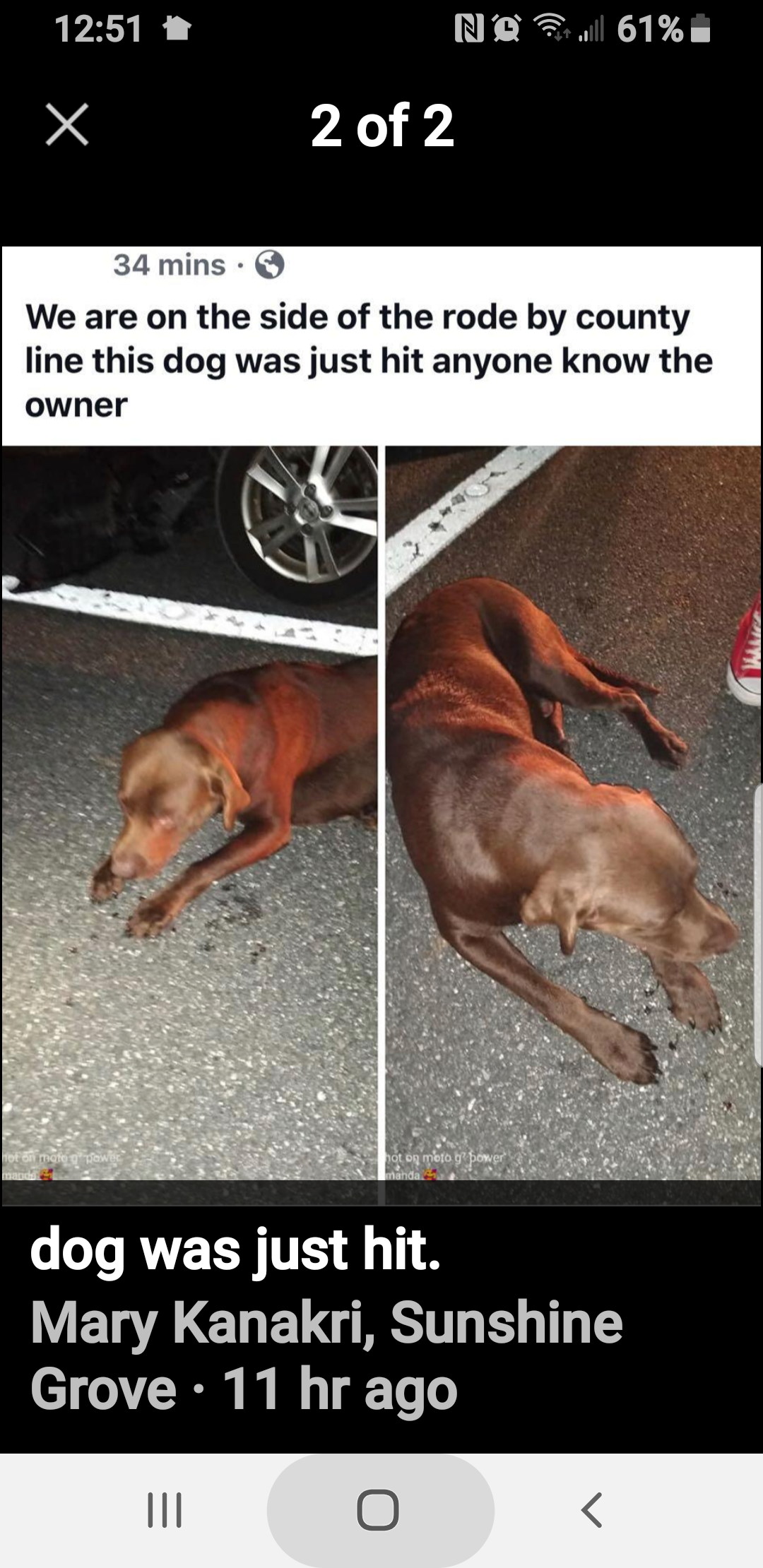 spring hill lost and found