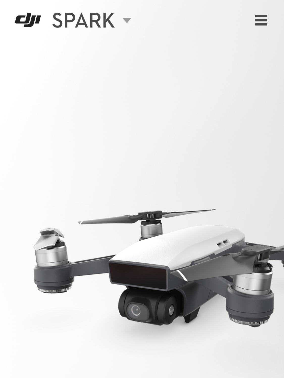 Image of DJI SPARK Drone, Lost Dog