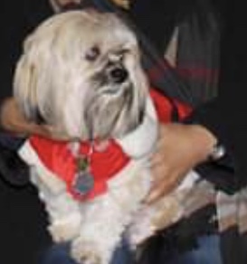 Image of Barlo, Lost Dog