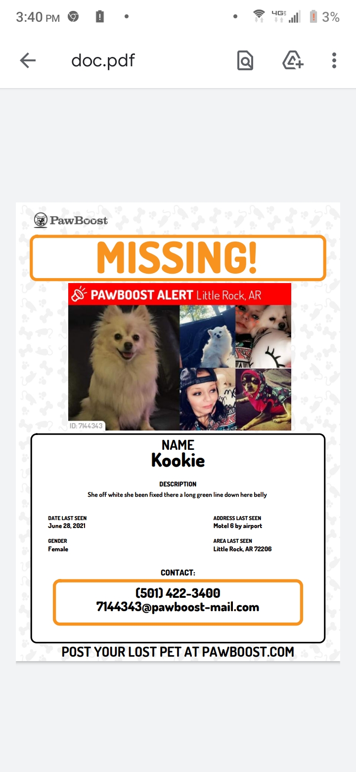 Image of Kookie, Lost Dog