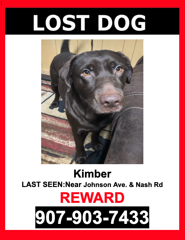 Image of Kimber, Lost Dog