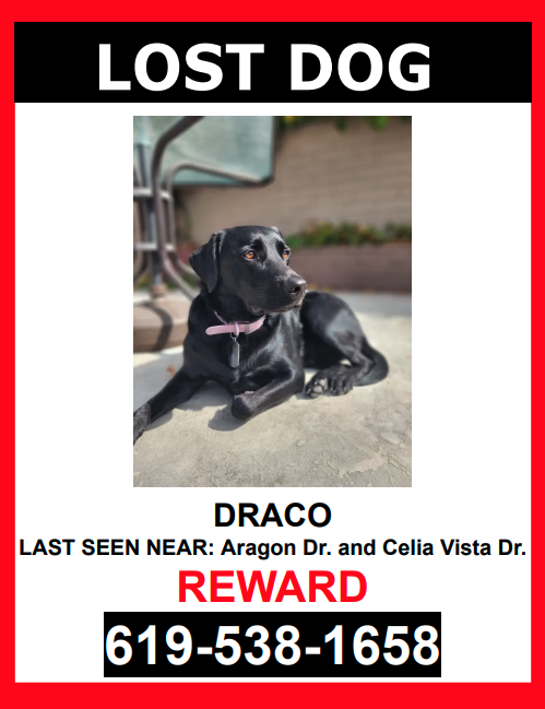 Lost Dog Labrador Retriever in SAN DIEGO, CA - Lost My Doggie