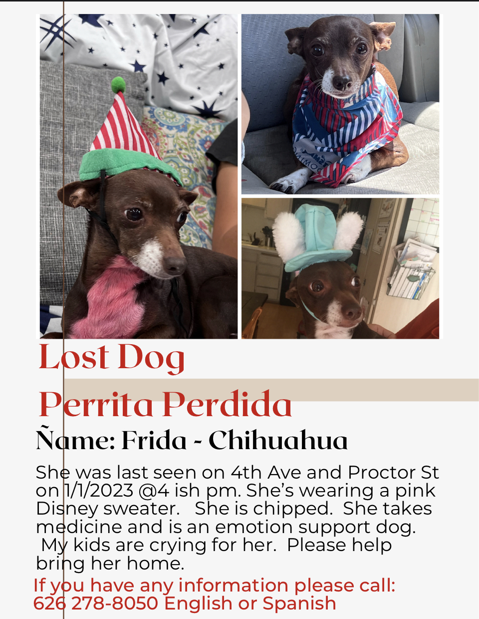 Lost Dog Chihuahua in LA PUENTE, CA Lost My Doggie
