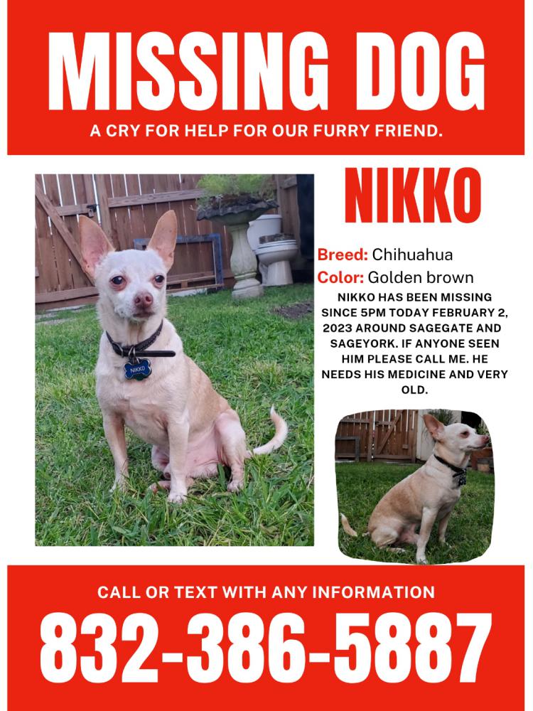 Image of Nikko, Lost Dog
