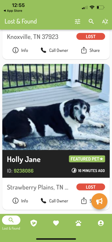 Image of Holly Hane, Lost Dog