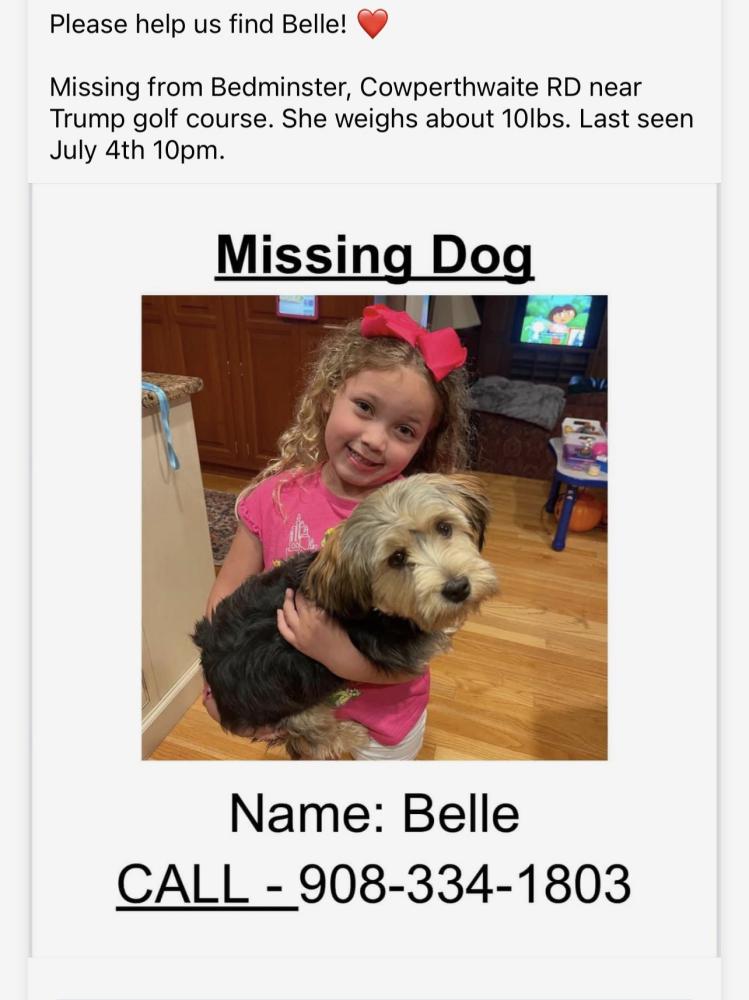 Found Dog Belle