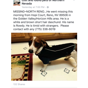 Lost Dogs In Reno Nv Lost My Doggie