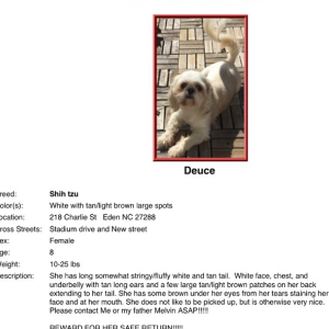2nd Image of Deucie, Lost Dog