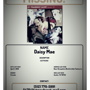 Lost Dog Daisy Mae