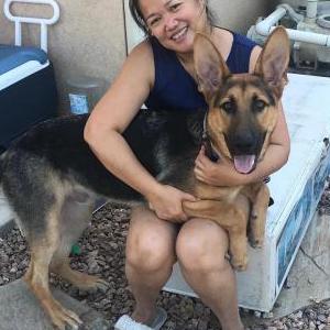 2nd Image of ALPHA, Lost Dog