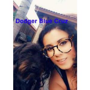 Lost Dog Dodger Blue Cruz