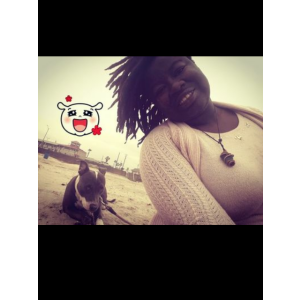 Lost Dog Fantasy