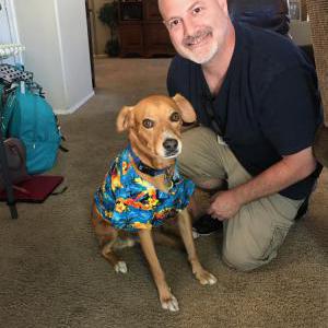 Lost Dog Gunner