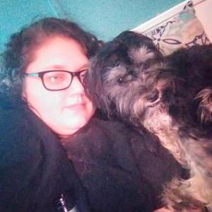 Lost Dog Teddy