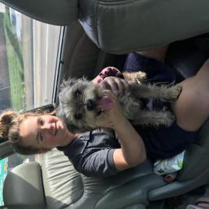 Found Dog Unknown