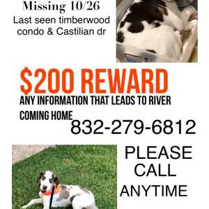Lost Dog river