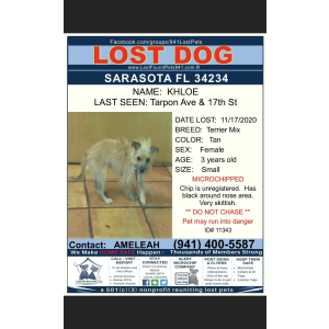 Lost Dog Khloe