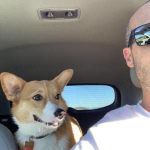 Lost Dog Ruby