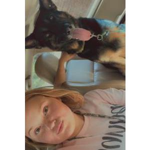 Lost Dog Rambo