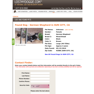 2nd Image of Maggie and Mandy, Lost Dog