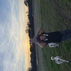 Lost Dog Theo and Koda