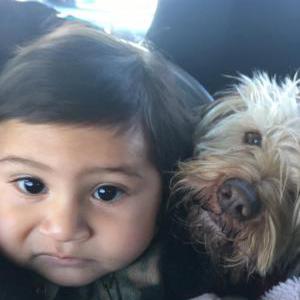 Lost Dog Ralphie
