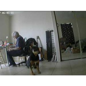 Lost Dog Buddy/Leon