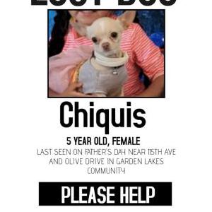 Lost Dog Chiquis