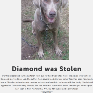Lost Dog Diamond