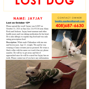 2nd Image of Jayjay, Lost Dog