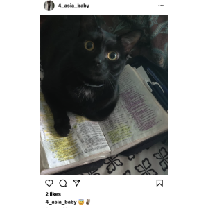 2nd Image of Asia Baby, Lost Cat