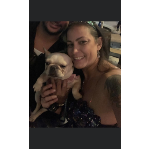 Lost Dog Frenchie