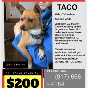 Lost Dog Taco