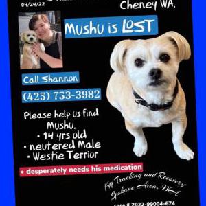 Lost Dog Mushu