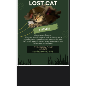 Lost Cat Grimm
