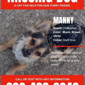 Lost Dogs In ARLINGTON, AZ - Lost My Doggie Lost Dogs In ARLINGTON, AZ - Lost My Doggie