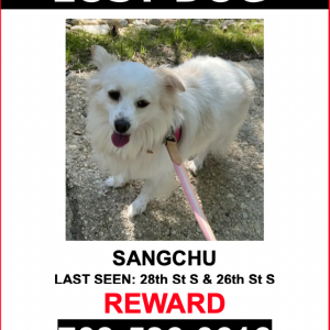 Lost Dog SangChu