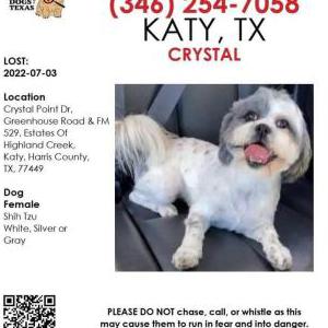 Lost Dog Crystal