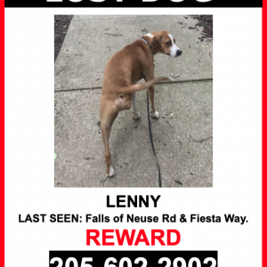 Lost Dog Lenny