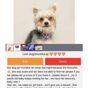 Lost Dog Muneka