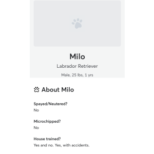 Image of Milo, Lost Dog