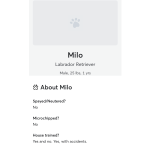 Lost Dog Milo