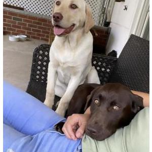 Lost 1 Abby and lukas (PA)