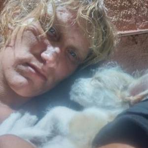 Lost Dog Bandit