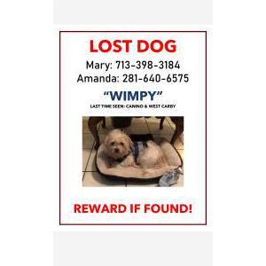 Lost Dog Wimpy