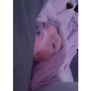 Lost Dog Nala