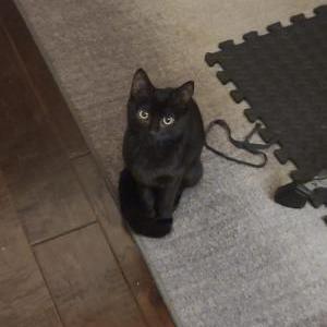 Lost 2 Kiki (CA)